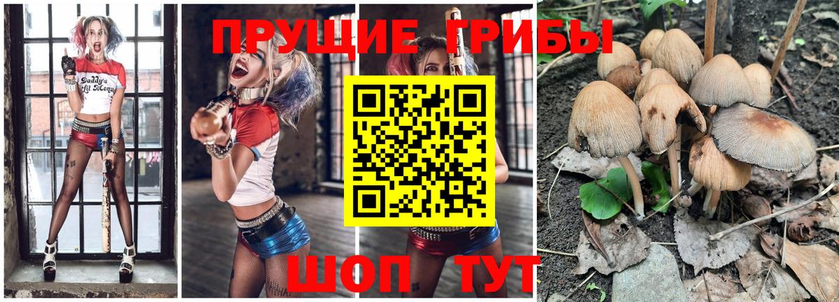 Воскресенск  Галлюциногенные грибы мицелий  Галлюциногенные грибы мухоморы  Вход с VPN 
